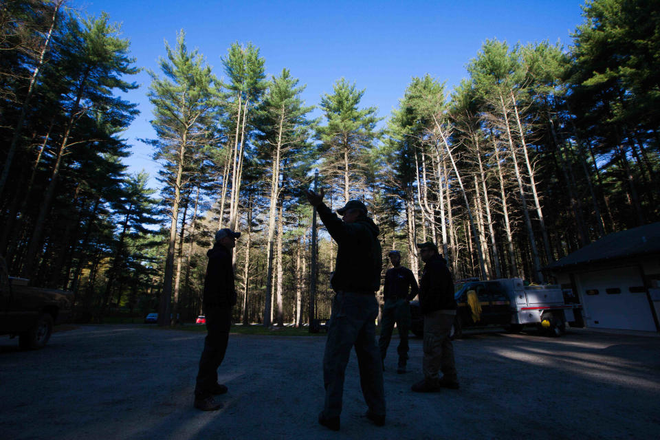 Delaware Forest Service crew members prepare for a controlled burn at Blackbird State Forest near Townsend on April 29, 2015. Forest crews control burn about 200 acres annually.