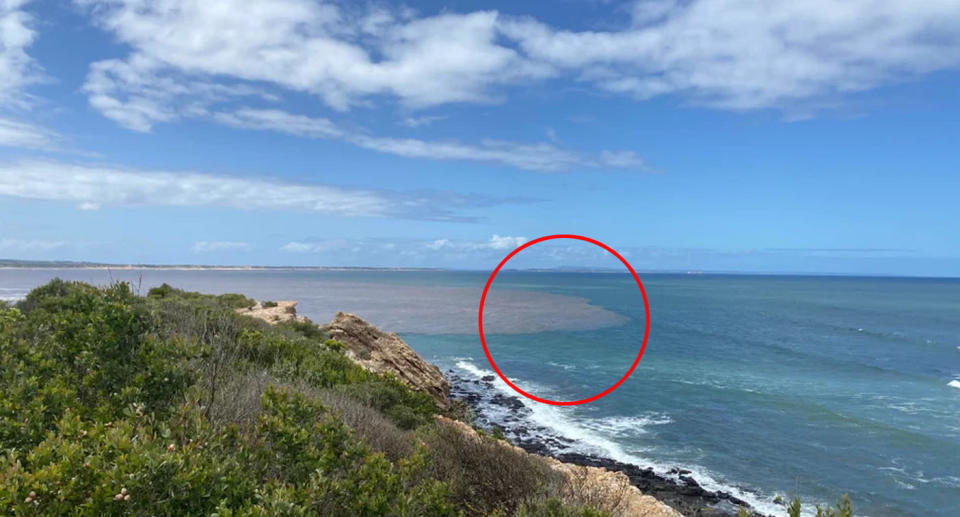 Cliff at Barwon Heads Victoria after floods