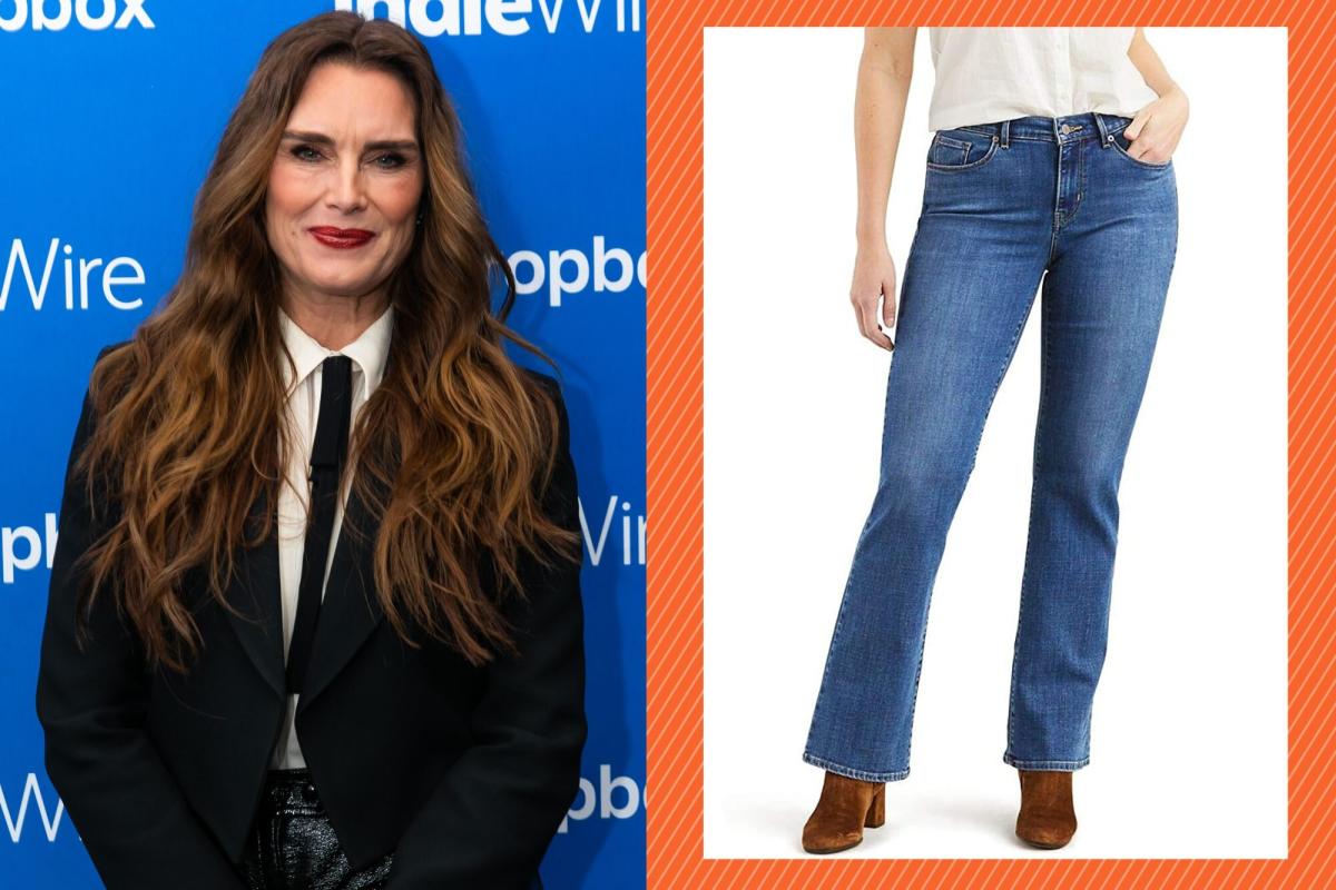 Brooke Shields Walked Her Dog in Central Park in the Flattering Denim Style  You Can Get for Just $25