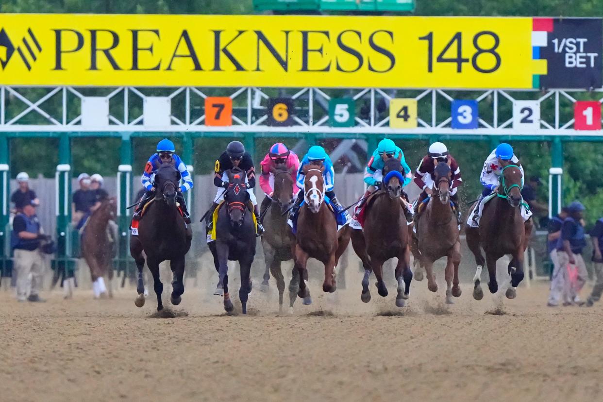 The field of horses break the gate during the 2023 Preakness Stakes at Pimlico Race Course.