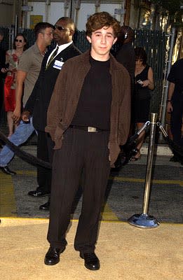 Aaron Himelstein at the LA premiere of New Line's Austin Powers in Goldmember