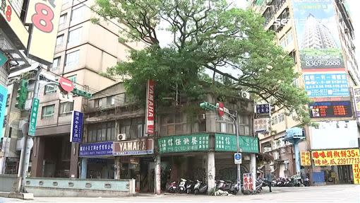 雙北都有樹屋建築。