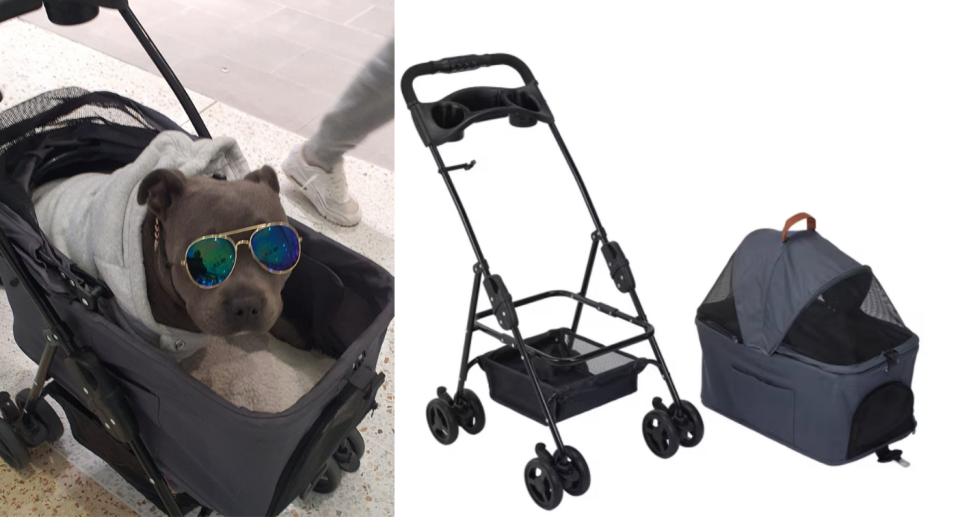 A dog wearing sunglasses sits in the stroller (left) and the stroller disassembled (right).