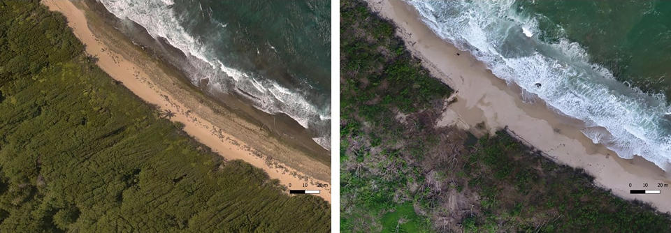 En esta imagen combinada proporcionada por Eric Lo se ve la costa de Manatí, en Puerto Rico, en agosto de 2017 antes del huracán María, a la izquierda, y en noviembre de 2017, tras el paso del huracán María. (Eric Lo via AP)