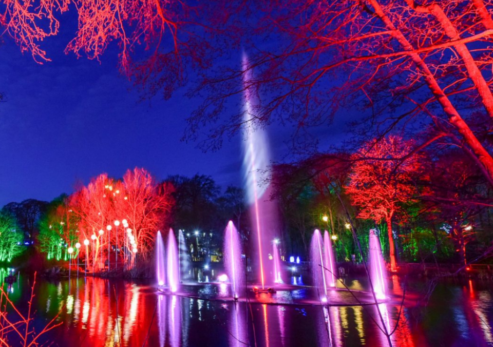 Stockeld Park is lit up for winterStockeld Park