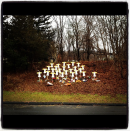 Angeles en la orilla del camino, 8:45 a.m., Sandy Hook. (Dylan Stableford/Yahoo! News)