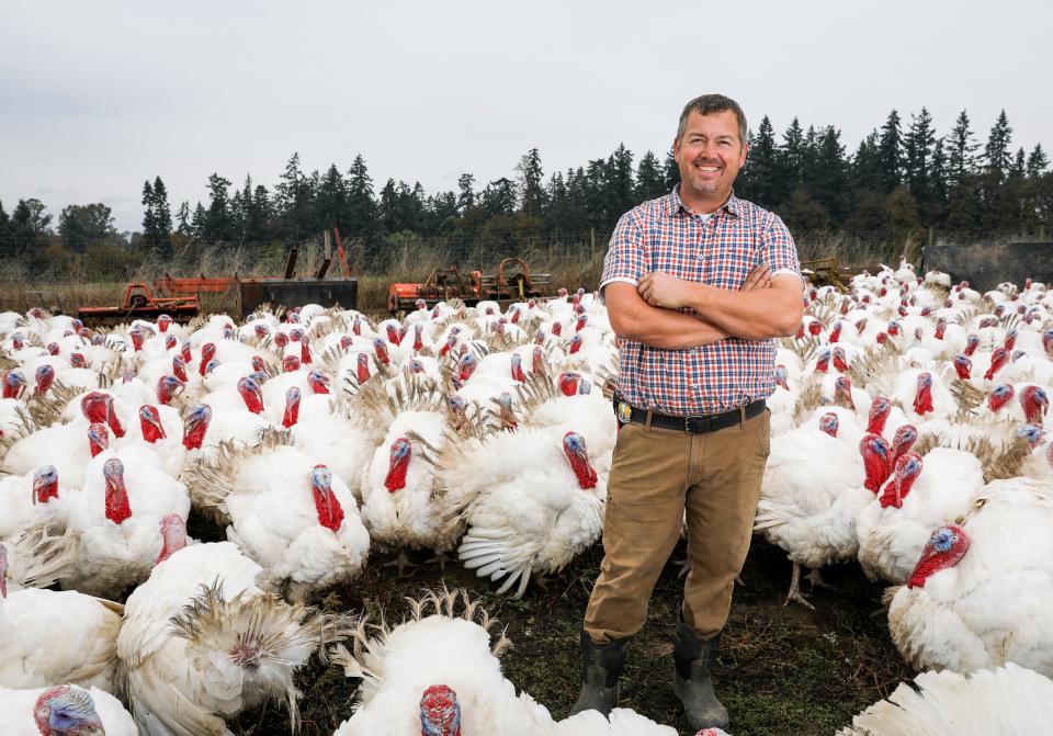 Champoeg Farm owner Mark Anderson also raises broad-breasted turkeys, geese, chickens and ducks, depending on the season.