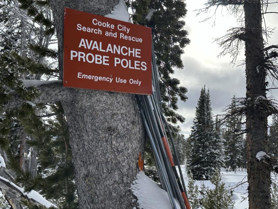 Avalanche probes that can be used to search in the snow for buried victims are seen stationed in the backcountry in the Gallatin National Forest, Jan 29, 2024, near Cooke City, Mont. Avalanche experts say more public education and improvements to forecasting are helping to prevent fatalities from spiking. (AP Photo/Matthew Brown)