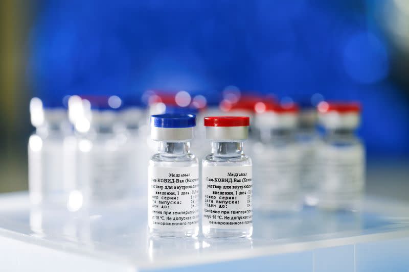 A handout photo shows samples of a vaccine against the coronavirus disease developed by the Gamaleya Research Institute of Epidemiology and Microbiology, in Moscow