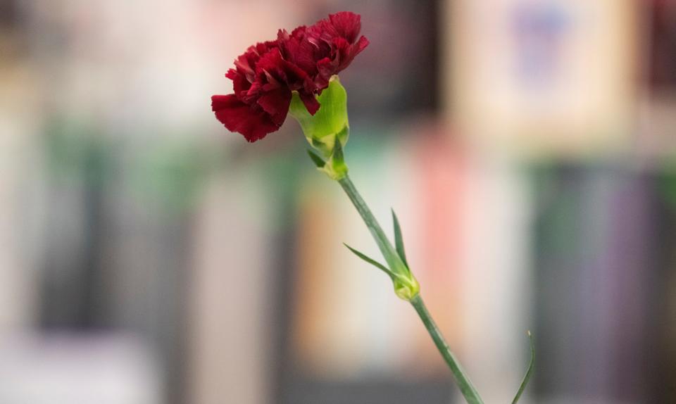 A customer brought in a flower to the store, in memoriam of the passing of Jim Pasdach. Photo taken, Thursday, July 20, 2023, at JL Records in West Lafayette, Ind. 