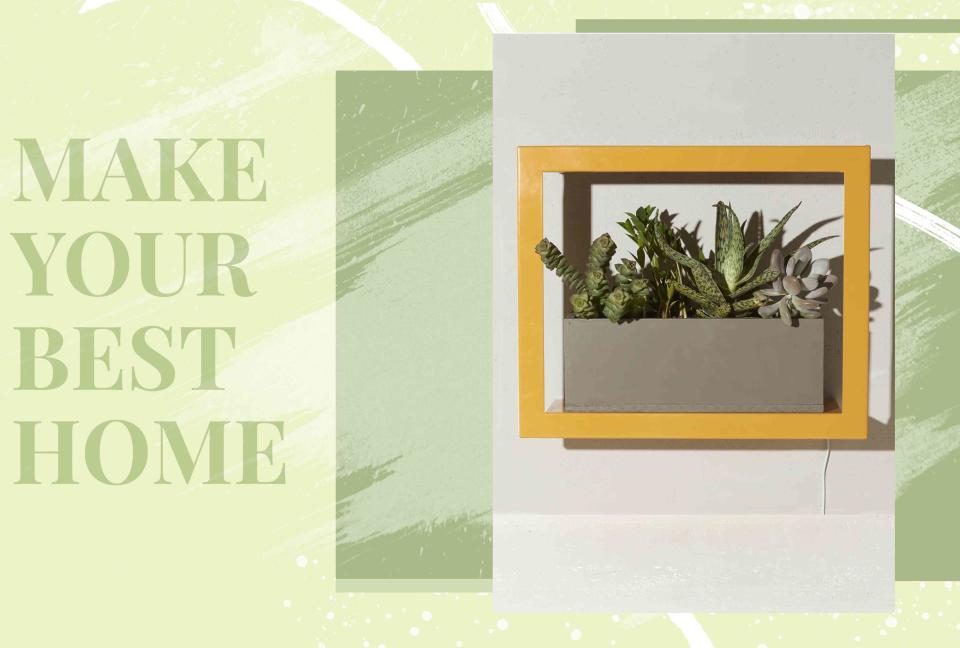 <p>Photo: <a href="https://modernsprout.com/products/smart-growframe">Modern Sprout</a> / Image Treatment: The Spruce</p>