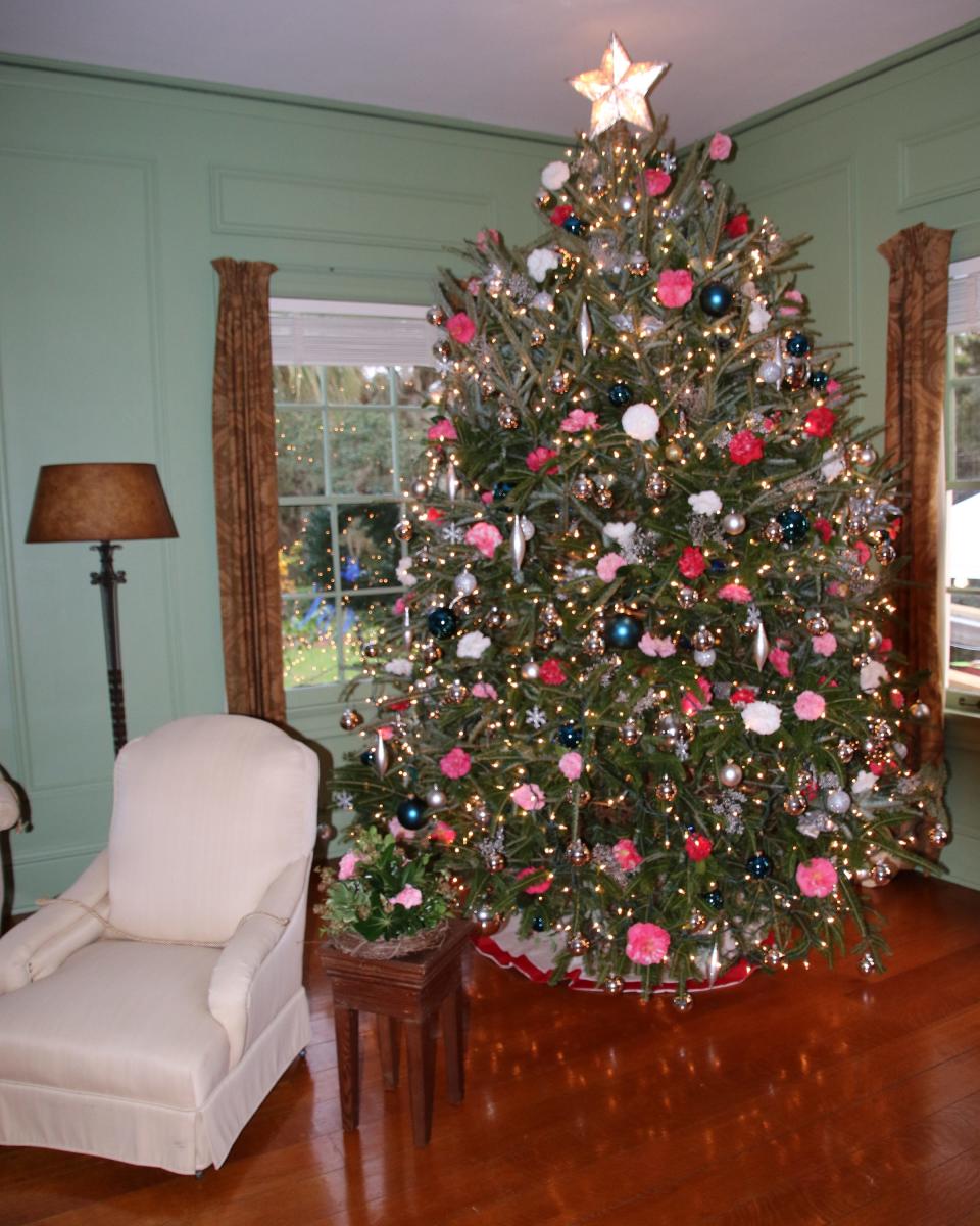 Christmas tree in Maclay House for Camellia Christmas event at Maclay Gardens.