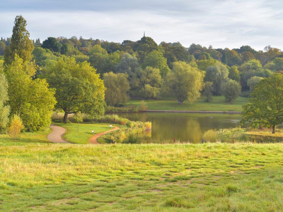 The park in Hampstead Heath.