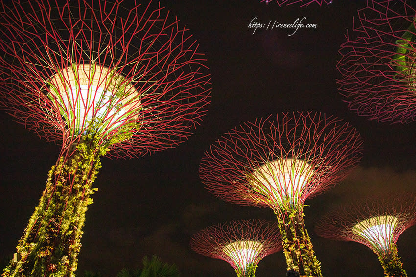 濱海灣花園天空樹