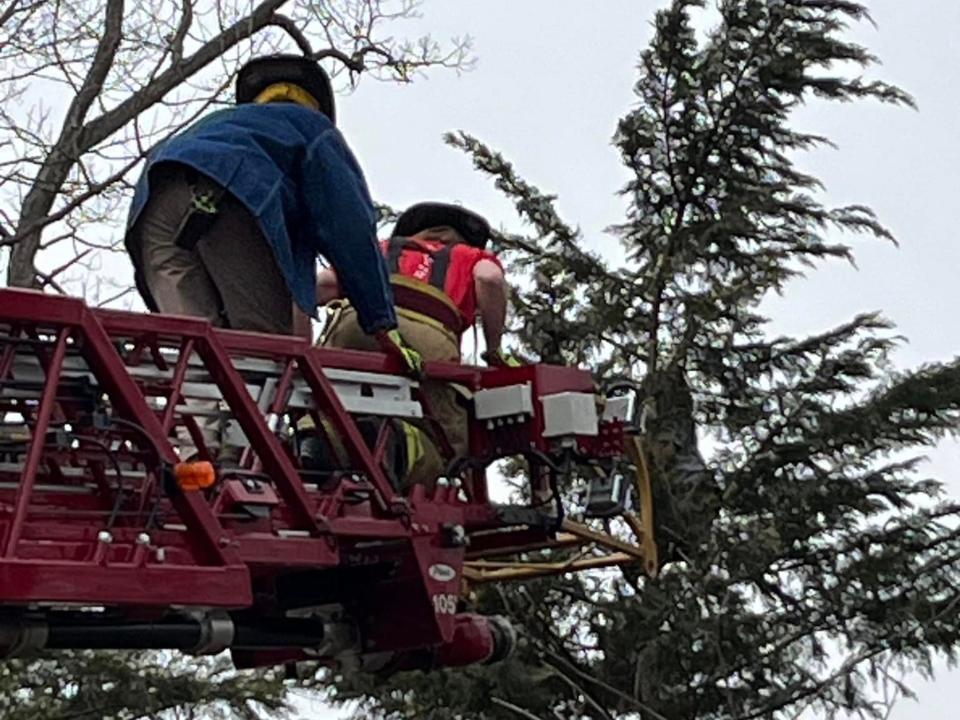 Firefighters work to rescue a 4-year-old girl that was stuck 30 feet up a tree, Tuesday, Feb. 27, 2024, in Reading Township.
