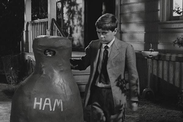 Scout in a ham costume labeled "HAM"