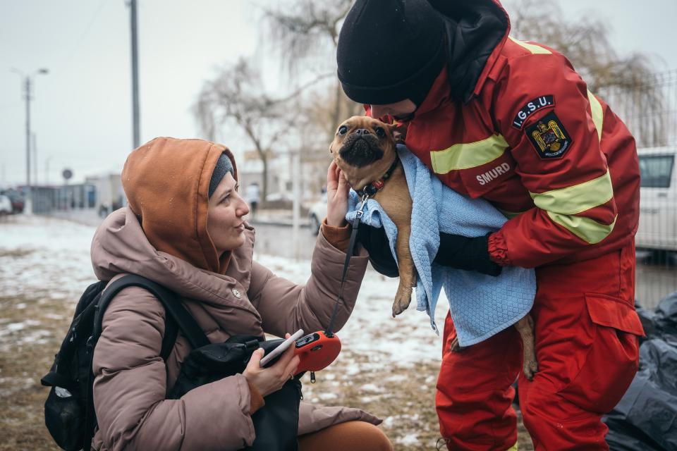 An emergency worker warms the dog of a displaced Ukrainian with a blanket.