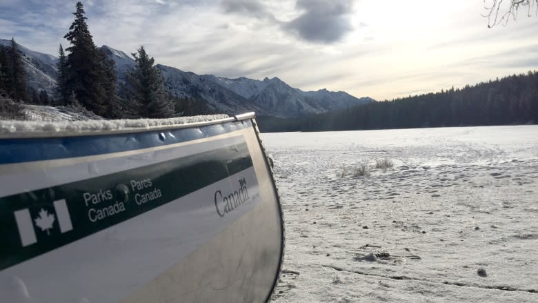 All the fish in this Banff lake are to be removed and killed to protect other lakes from whirling disease