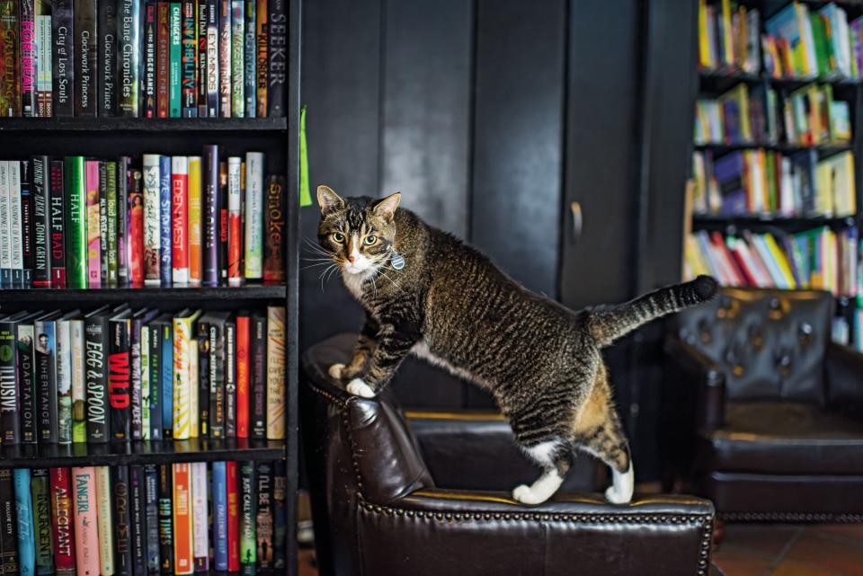 Nicknamed "Tiny the Usurper," he lives at Community Bookstore in Park Slope, Brooklyn and has his own <a href="https://twitter.com/TinytheUsurper" target="_blank">Twitter account.</a>