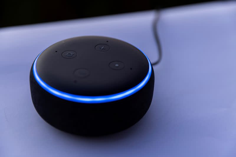 FILE PHOTO: Amazon's DOT Alexa device is shown in this picture illustration