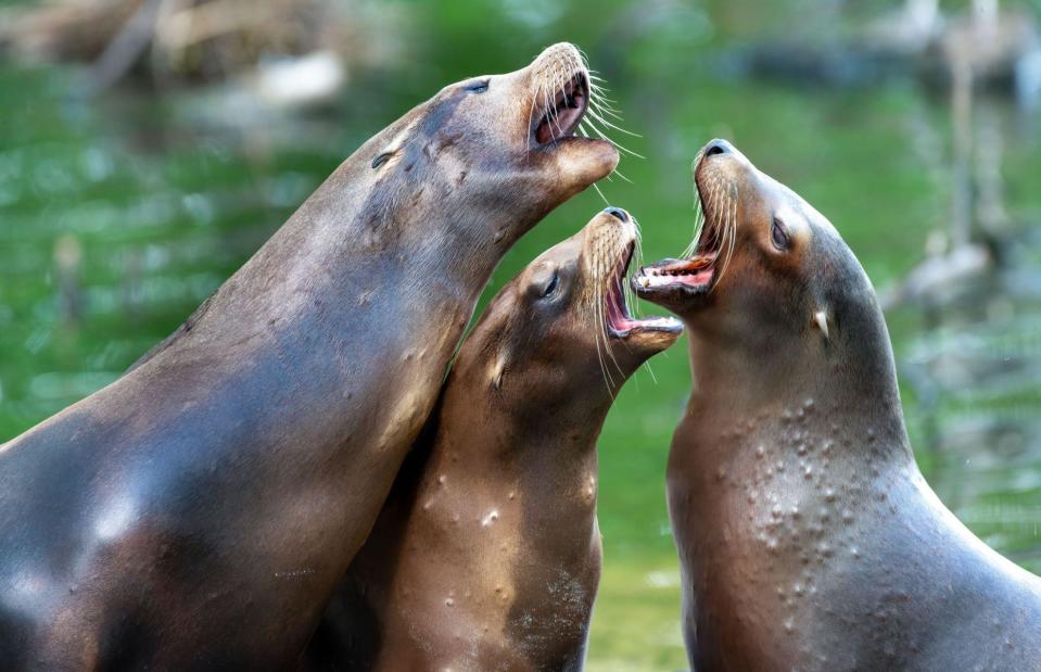 <p>Wirestock, Inc./Alamy</p>