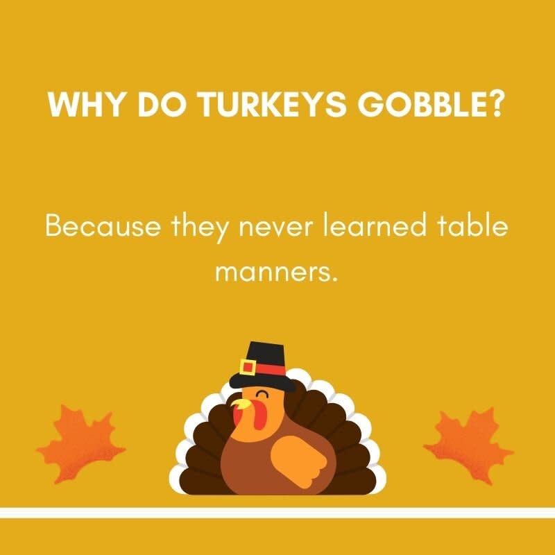 Thanksgiving Jokes