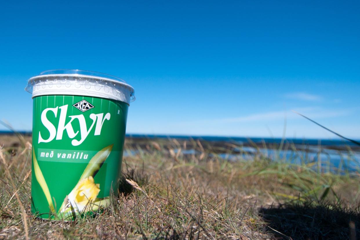 Skyr in grass