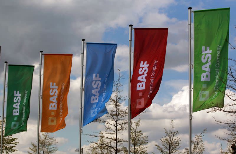 FILE PHOTO: Flags of German chemicals company BASF pictured in Monheim
