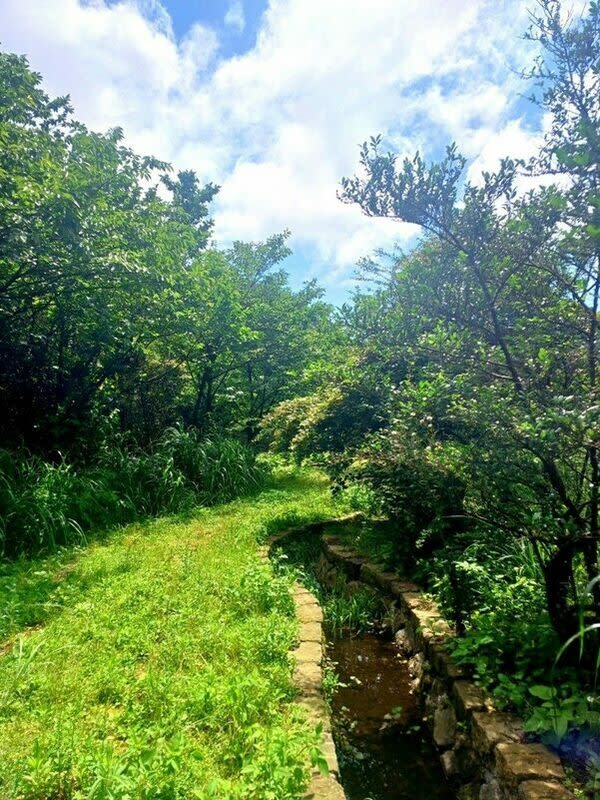 圳路步道。   圖：台北市政府工務局大地工程處／提供