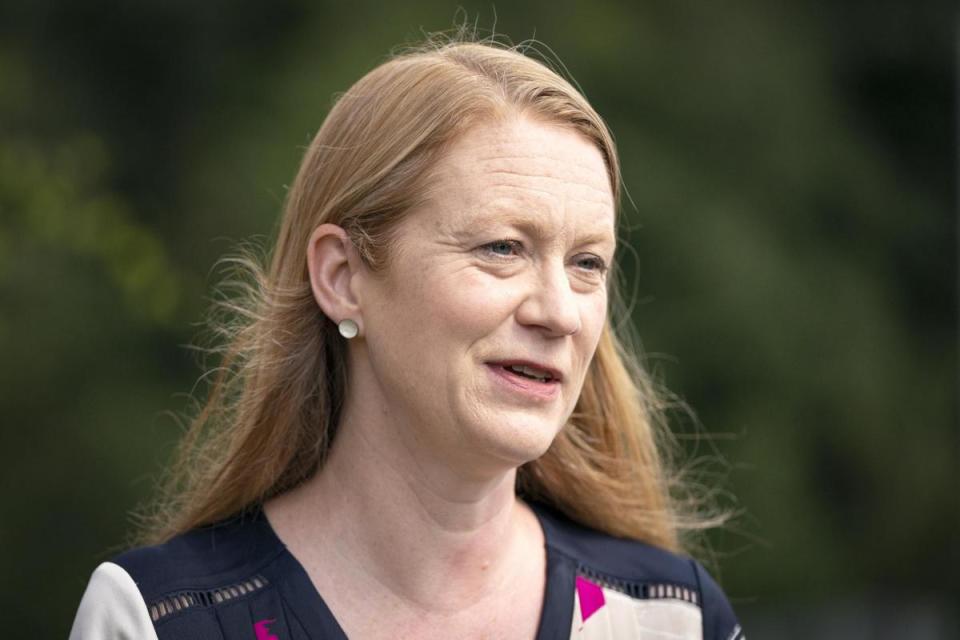 Somerville said it was up to rebels if they wanted to resign at the next election, but should question whether being in the party is 'comfortable' <i>(Image: PA)</i>