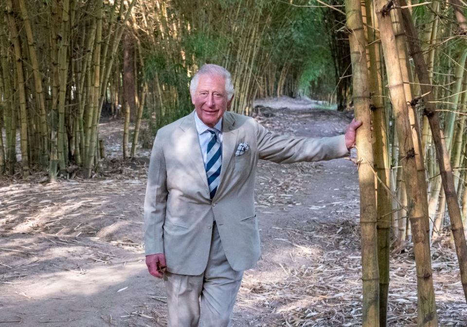 See All the Photos of Prince Charles and Camilla's Visit to Rwanda