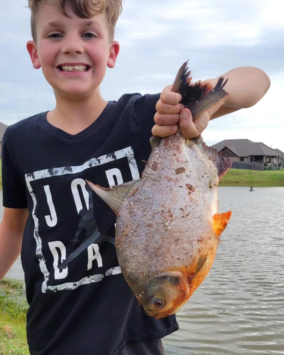 Charlie Clinton was fishing in an Oklahoma City neighborhood pond over the weekend when he reeled in what turned out to be a pacu, which is a South American fish closely related to Piranha.