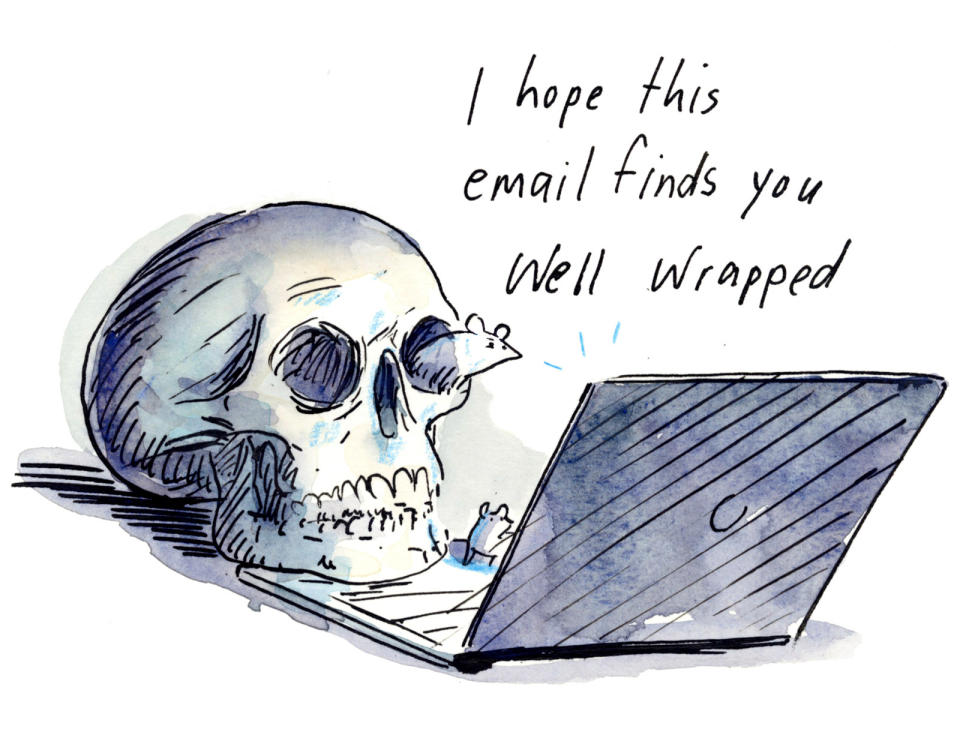 an image of a skull looking at a computer that reads "I hope this email finds you well wrapped"