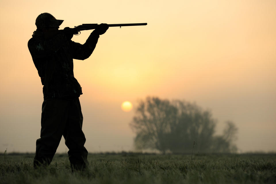 A person aiming their rifle