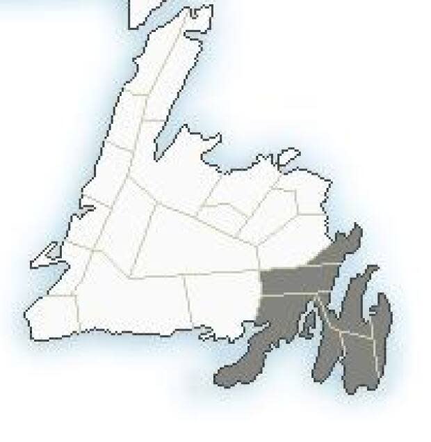 Environment Canada has issued special weather statements for the Avalon, Bonavista and Burin peninsulas for Sunday night into Monday. (Environment Canada - image credit)