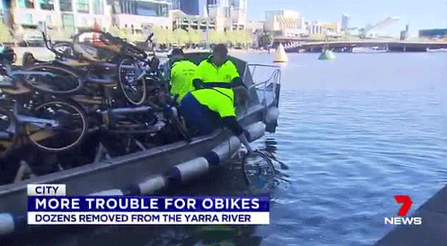 Dozens of oBikes were pulled out of the Yarra River. Source: 7 News