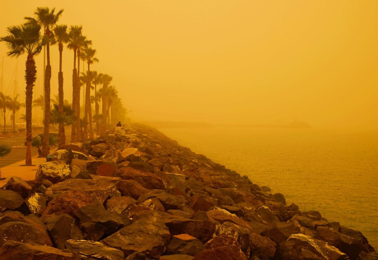 <a href="https://www.shutterstock.com/es/image-photo/las-palmas-canary-islands-spain-february-1654549822" rel="nofollow noopener" target="_blank" data-ylk="slk:Daguimagery / Shutterstock;elm:context_link;itc:0;sec:content-canvas" class="link ">Daguimagery / Shutterstock</a>