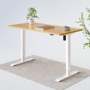 <p><strong>Flexispot</strong></p><p>flexispot.com</p><p><strong>$419.99</strong></p><p>Upgrade any dorm room, bedroom desk situation, or home office with this beaut. Perfect for studying or going down a TikTok rabbit hole, a standing desk is the ultimate adult game-changer.</p>