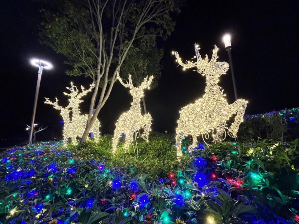 后里森林公園馴鹿造型彩燈。圖/台中市政府提供