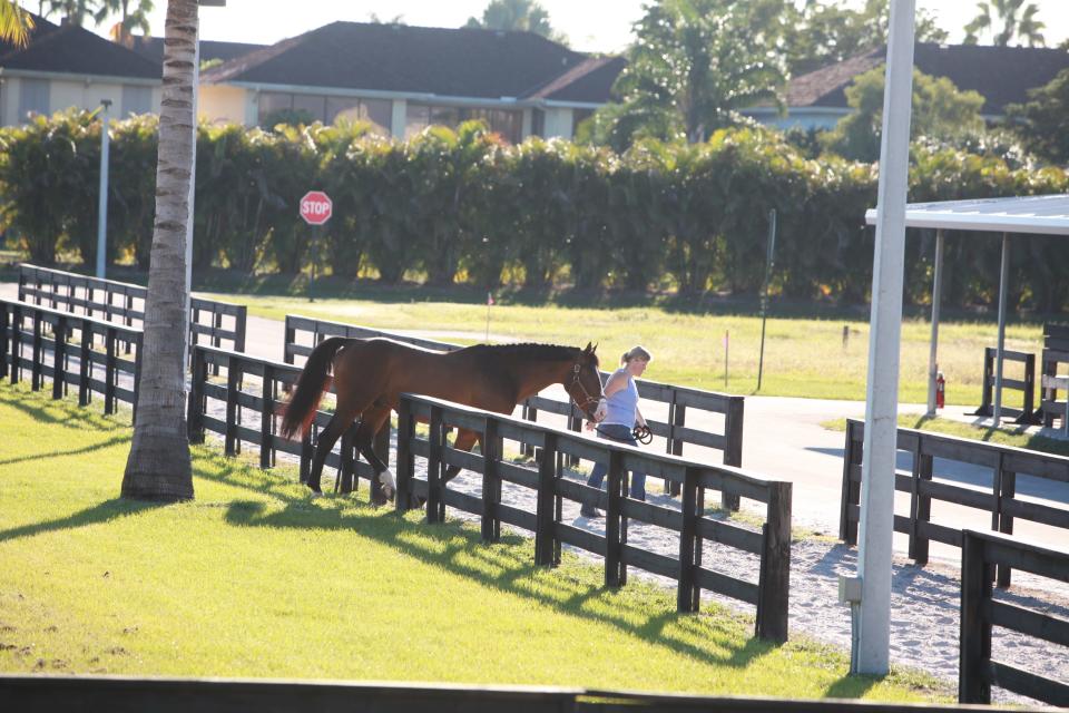 Elian Feltz, a groom, walks a horse named VDL Dogan at the Equestrian Village complex in Wellington in October 2013. A proposal before the village in 2023 would allow luxury homes to rise from the site.