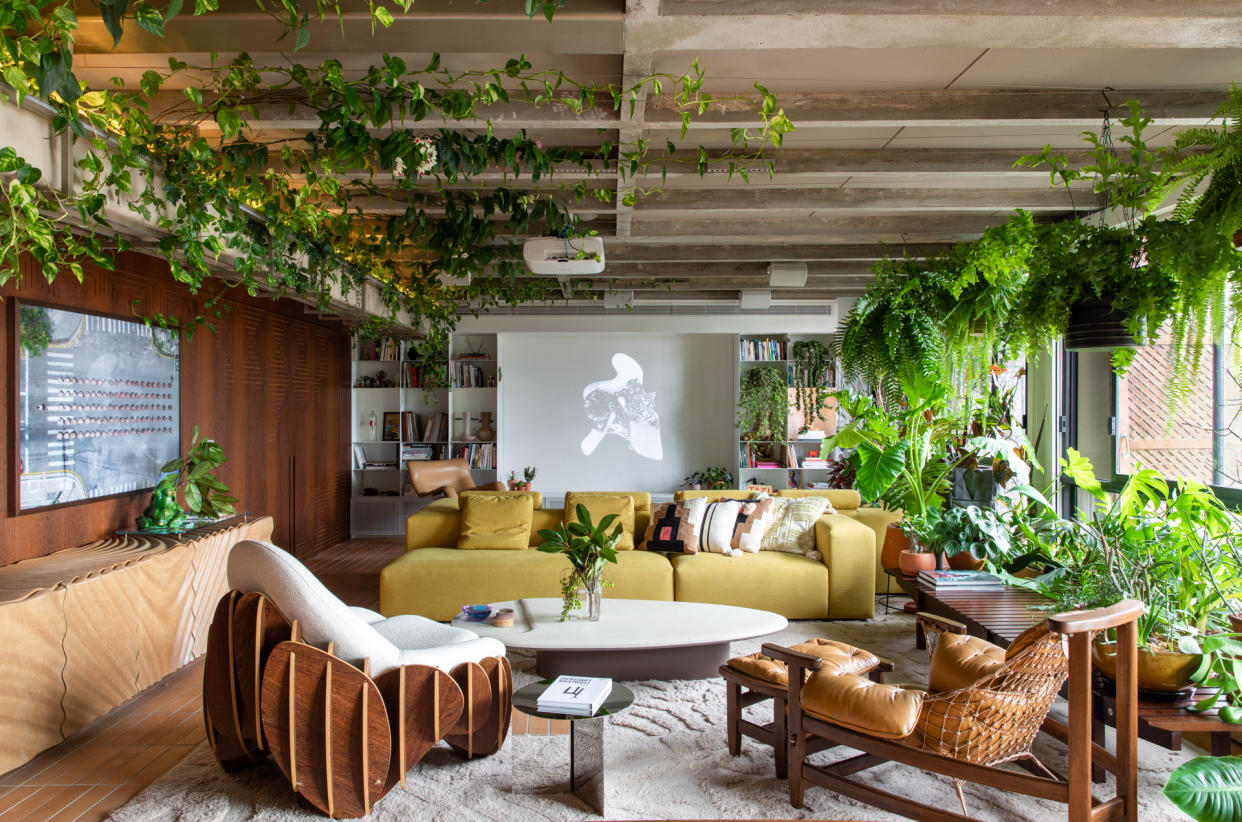  A living room filled with lush plants. 