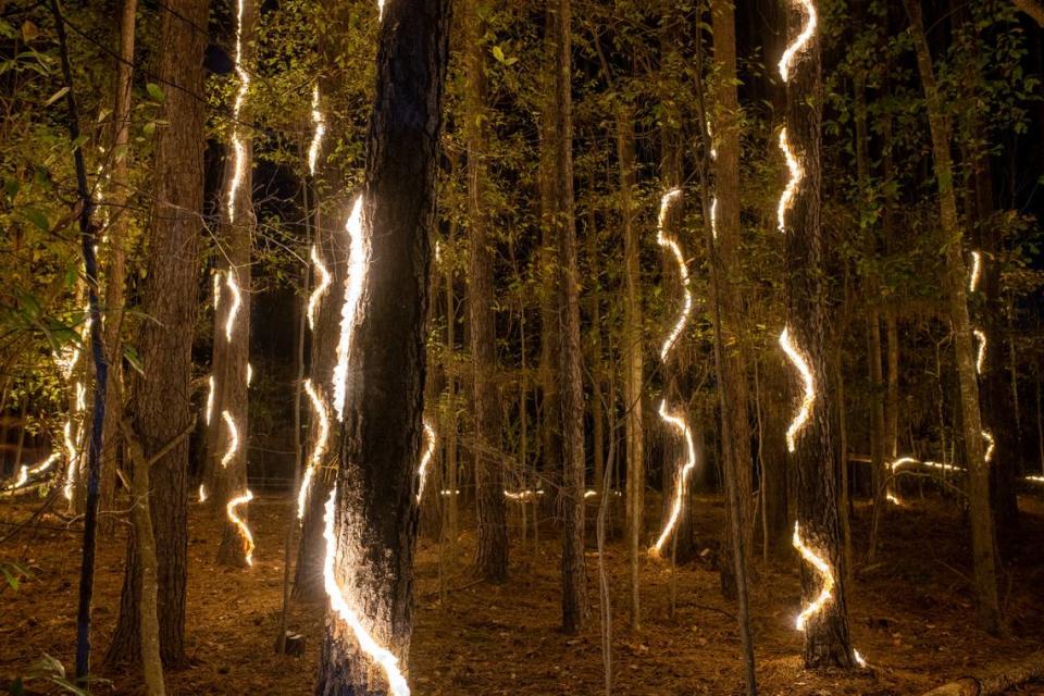 “Vines” consists of 40 vines made of lighting and laser-cut fabric. Each is between 18- and 30-feet in length. They were constructed using a craft-based weaving process around the lighting, resulting in a repetitive, soft texture around the light source, artist Meredith Connelly said.