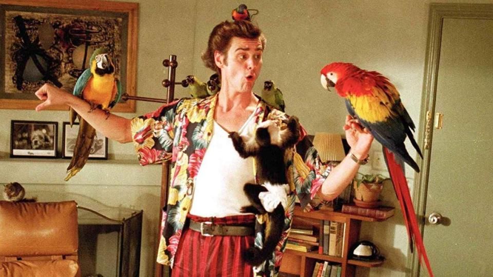 Jim Carrey in Ace Ventura: Pet Detective