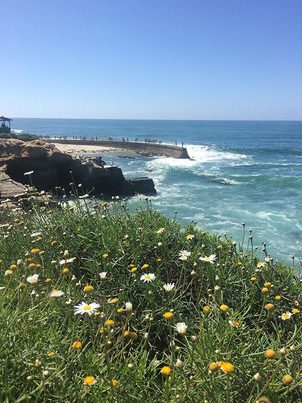 Just a five minute walk away you'll find the Children's Pool where cute seals sunbath in the winter. Photo: Be