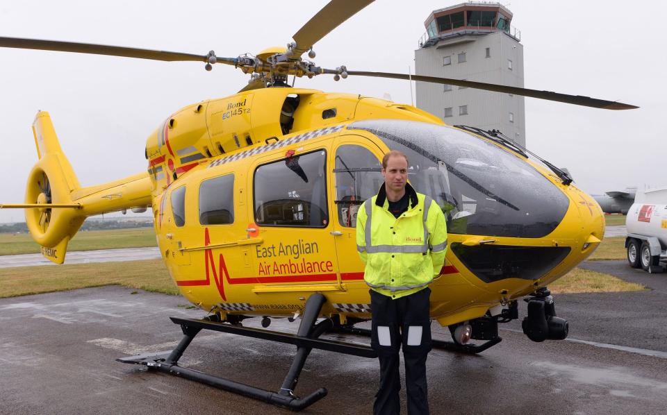 The Prince, a former RAF search and rescue helicopter pilot, started working with the EAAA on July 13, 2015 - WPA Pool/Getty Images Europe