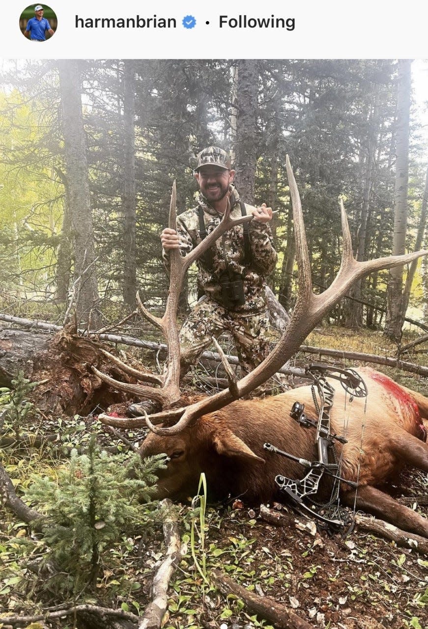 Brian Harman with a bugle elk he harvested in southern Colorado in September. (Photo from his Instagram account).