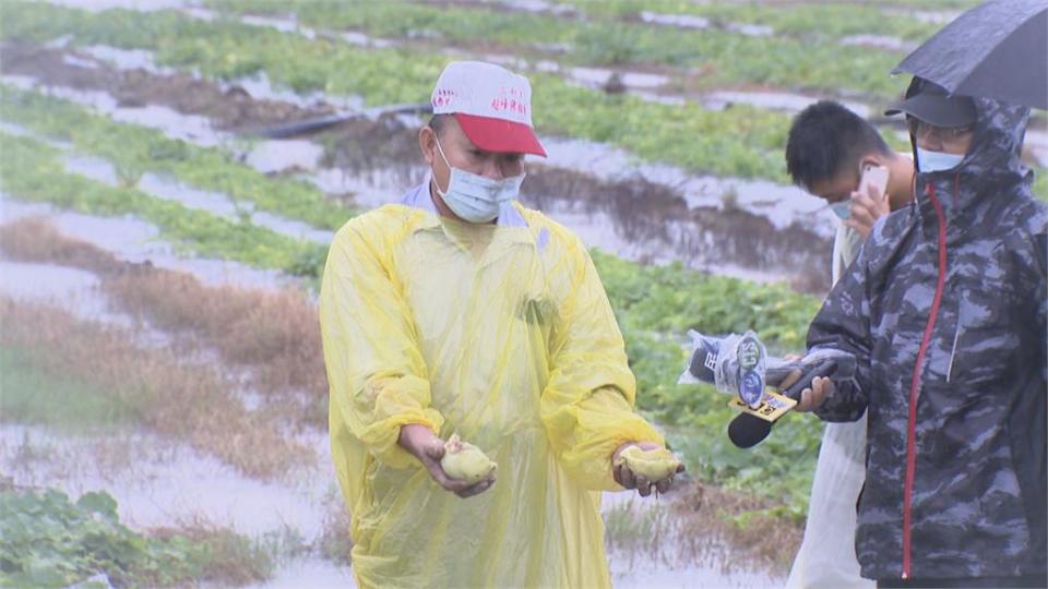 豪雨狂炸岡山十甲香瓜泡湯　哭了...損失超過150萬