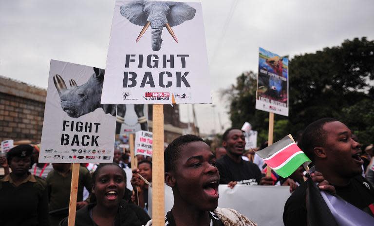Hundreds of Kenyans join conservationists and activists for a march demanding action to stop the soaring rhino and elephant poaching, on October 4, 2014 in Nairobi
