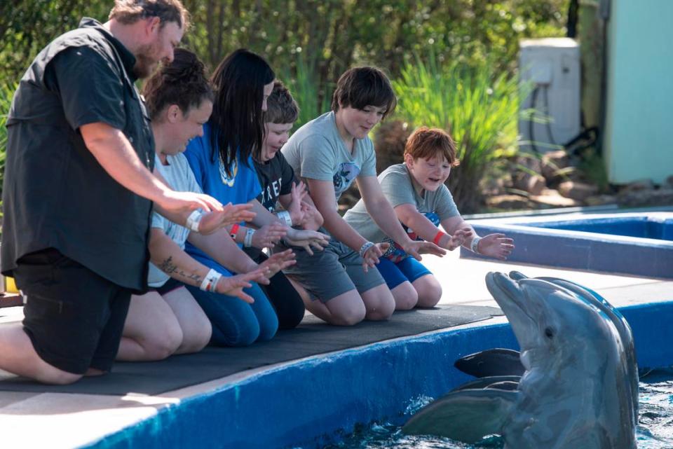 Weston Brown, 6, of Ellisville, right, and his siblings wave to two dolphins at the Mississippi Aquarium in Gulfport on Wednesday, March 20, 2024, during a dolphin encounter experience. Weston, who is in remission from cancer, chose to come to the Mississippi Coast for his Make-A-Wish trip because he had never been to the ocean before and loves to fish.