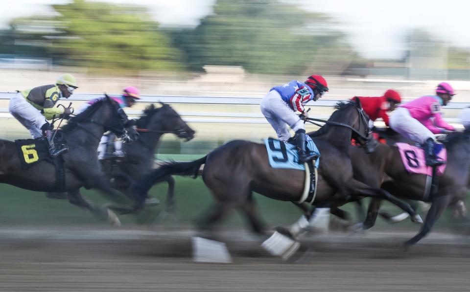 Horses and jockeys speed around the first turn during a race at Twilight Thursday for the 2023 opening of the Fall Meet at Churchill Downs. Sept. 14, 2023